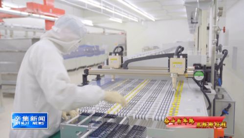 科技引領未來，創新驅動發展 計算機技術開發的浪潮與方向