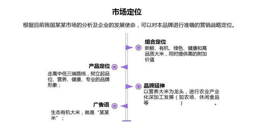 全方位企業(yè)營(yíng)銷(xiāo)策劃方案——從戰(zhàn)略到執(zhí)行的實(shí)戰(zhàn)指南
